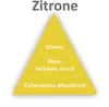 OLORI Raumduft Diffuser mit Stäbchen 200ml (Zitrone) Produktbild-Vorschau 3