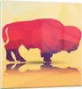 Bilder auf glas - Bison Illustration Bunt Grafik - 50x50cm Produktbild-Vorschau 1