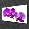 Acrylglasbilder 100x50 Wandbild Druck Blumen Pflanzen Produktbild-Vorschau 2