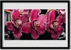 Bild 70x50 MDF-Rahmen Wandkunst Orchideen-Blumen-Natur Produktbild-Vorschau 1