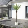 ML-Design Umelá palma 210 cm, tropická umelá palma, umelá Náhľad obrázku produktu 9
