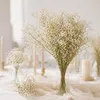 Schleierkraut getrocknet im Bund 50-60cm Gypsophila Produktbild-Vorschau 6