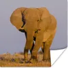 MuchoWow® Poster Afrikanischer Elefant im Sand 75x75 cm - Produktbild-Vorschau 1