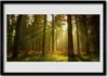 Bild 100x70 MDF-Rahmen Wandkunst Natur Wald Bäume Produktbild-Vorschau 1