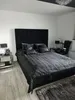 Ares Meble Polsterbett mit Kopfteil DUBAI  - Samt Bett mit Produktbild-Vorschau 4