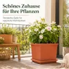 Pflanztopfuntersetzer Jana Terrakotta 41 x 41 cm - Produktbild-Vorschau 4