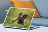 MuchoWow® Laptop Aufkleber Sticker Cover Elefant - Baby - Produktbild-Vorschau 4