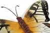 Kobolo Wand- Deko Schmetterling Schwalbenschwanz XXL - 3er Produktbild-Vorschau 7