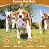Bewegendes Hundespielzeug Ball, Plüschspielzeug Aktives Produktbild-Vorschau 4