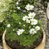 Blumen Stützgitter Produktbild-Vorschau 2