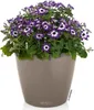 LECHUZA-Pflanzgefäß CLASSICO Color 28 Sandbraun | Produktbild-Vorschau 5