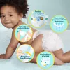 Pieluchy Pampers Premium Protection rozmiar 6-76 (4x19) Podgląd zdjęcia produktu 3