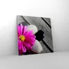 Bild auf Leinwand - Leinwandbild - Stein Blume Produktbild-Vorschau 4