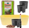 Leni Flori Jardiniere Blumentopf länglich 36 cm lemon / Produktbild-Vorschau 1