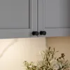 GTV - RING inox Knopf - gebürsteter Stahl - Möbelknöpfe Produktbild-Vorschau 3