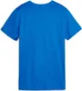 Puma Teamgoal Trikot Kurzarm Damen - Royal Produktbild-Vorschau 2