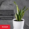 KADAX "Turi" kvetináč, kvetináč s podšálkou, 14 cm, biely Náhľad obrázku produktu 7