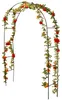 Arco di rose 240x140x36cm pergola metallica ausilio per Anteprima dell’immagine prodotto 11