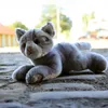 Peluche Chat Gris 30 Cm Ecologique Voir les images du produit 2