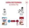 Royal Canin Medium Puppy karma mokra w sosie dla szczeniąt Podgląd zdjęcia produktu 21