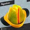 Dimono Mangoschneider aus 18/10 Edelstahl mit Soft-Grip, Produktbild-Vorschau 5