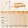 A size chart for dog crates, showing dog dimensions and corresponding crate sizes for different breeds. Podgląd zdjęcia produktu