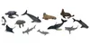 COLLECTA Animaux aquatiques 1, 12 pièces Voir les images du produit 5