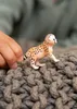 schleich WILD LIFE 14866, 3 Jahr(e), Safari, Wild animals / Produktbild-Vorschau 3