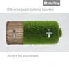 A battery made of wood and grass with a plus and minus sign, symbolizing eco-friendly energy. Náhled obrázku produktu