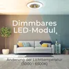 A modern living room with a sofa, plant, and a ceiling fan with light. Produktbild-Vorschau