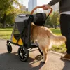 WISFOR, passeggino pieghevole per cani, carrello per cani, Anteprima dell’immagine prodotto 14