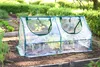 Parkside® Frühbeet Treibhaus Gewächshaus Folienfrühbeet Produktbild-Vorschau 7