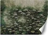Vlies fototapete Lotusblumen auf einem See 250x175 cm Feeby Produktbild-Vorschau 1