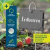 Hoberg Schiefer-Pflanzschilder - 10er Set Produktbild-Vorschau 2