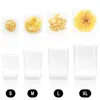 A set of four clear plastic food storage containers of varying sizes, each labeled with a letter (S, M, L, XL) below. Above the containers are four different types of pasta, each displayed in a square white frame. Produktbild-Vorschau