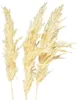 Deko Pampasgras Creme 95cm 3 St - Trockenblumen Boho Deko, Produktbild-Vorschau 1
