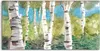 Coloray Spritzschutz aus Glas 140x70  Wandkunst Produktbild-Vorschau 1