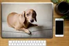 MuchoWow® Laptop Aufkleber Sticker Cover Ein brauner Dackel Produktbild-Vorschau 2
