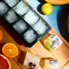 HOMLA ALCOLE štvorcová nádoba na ľadové kocky čierna 22x11 Náhľad obrázku produktu 4