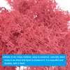 1.8 OZ Kunstmoos Konserviertes Rentiermoos Kš¹nstliches Produktbild-Vorschau 3