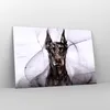 Bilder auf glas - Hund Abstraktion - 120x80cm - Glasbilder Produktbild-Vorschau 4