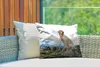 MuchoWow® Outdoor Kissen - Ein Golden Retriever sitzt auf Produktbild-Vorschau 3