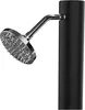A close-up of a modern outdoor shower head attached to a black pole. Produktbild-Vorschau