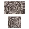 Grund Badteppich AMMONA, 50 cm x 60 cm, Produktbild-Vorschau 4