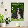 Berner Sennenhund 2027 (Wandkalender 2027 DIN A4 hoch), Produktbild-Vorschau 3