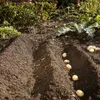 Gardena Combisystem Aratro di colmo Anteprima dell’immagine prodotto 7