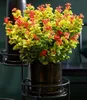 BALDUR Garten 2x Traubenheide Curly Gold®, Pflanzen im Produktbild-Vorschau 5