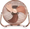 A copper-colored floor fan is shown against a white background. Anteprima dell’immagine prodotto