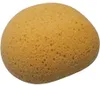 Premium Badeschwamm - 13x11x7 cm, Einzeln verpackt Produktbild-Vorschau 2