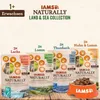 IAMS 161792, Adult, jede Rasse, Lachs, 85 g Produktbild-Vorschau 4